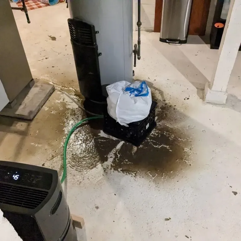 Sewage Backup Cleanup Service in Kensington, CT